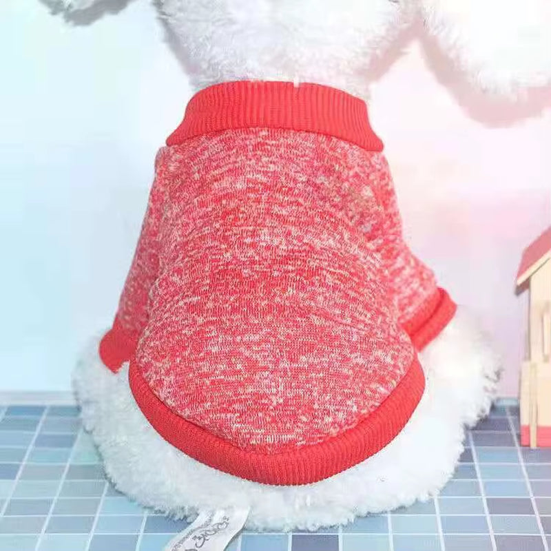 Dog Warm Clothes Spring Autumn Winter Cute Fashion Jacket round Neck Sweater Pet Supplies Teddy Dog Cat Clothing Pet Accessories